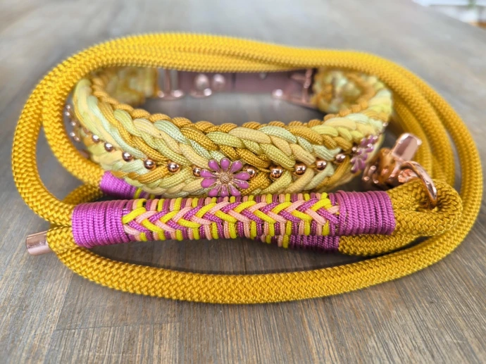 set collier et laisse en paracorde