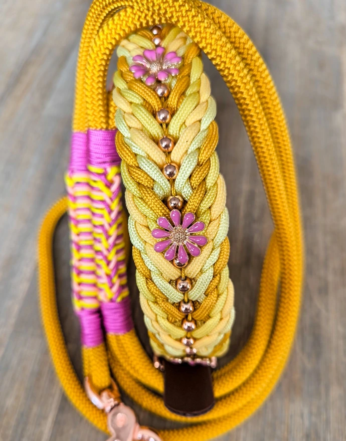 set collier et laisse en paracorde